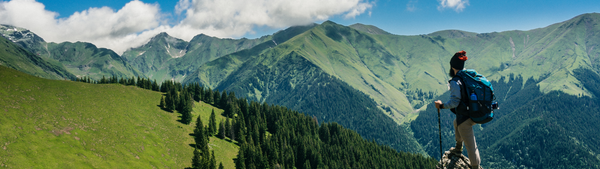 Adventurous man hiking in the green mountains surrounded by trees